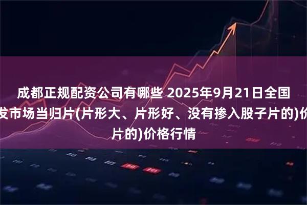 成都正规配资公司有哪些 2025年9月21日全国主要批发市场当归片(片形大、片形好、没有掺入股子片的)价格行情