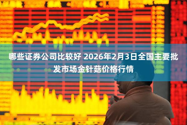哪些证券公司比较好 2026年2月3日全国主要批发市场金针菇价格行情