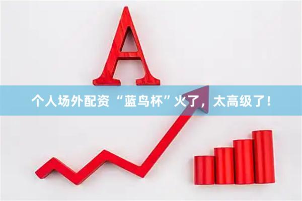 个人场外配资 “蓝鸟杯”火了，太高级了！